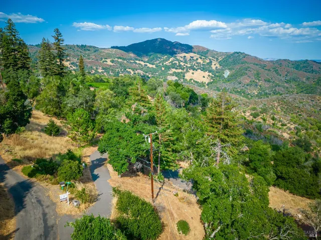 a view of a road with plants and a yard