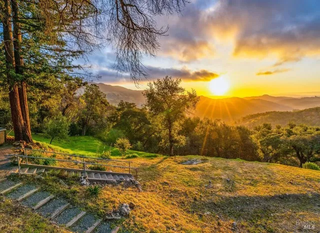 a view of backyard of the house