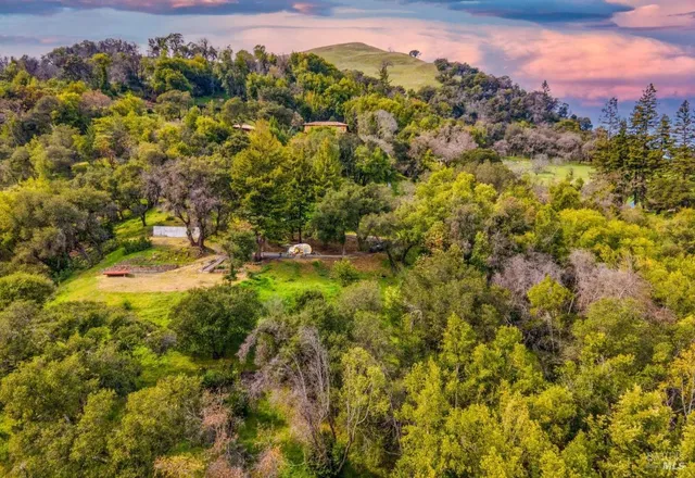 a view of a houses with a lush green forest