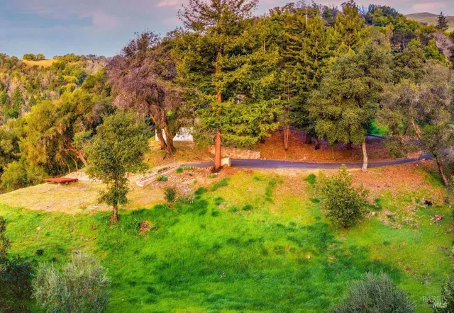 a view of yard with green space