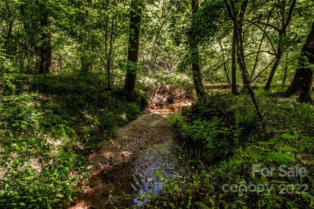 0 Helton Farm Road Lincolnton, NC 28092 - Photo 5 of 9 Gallery Image 5