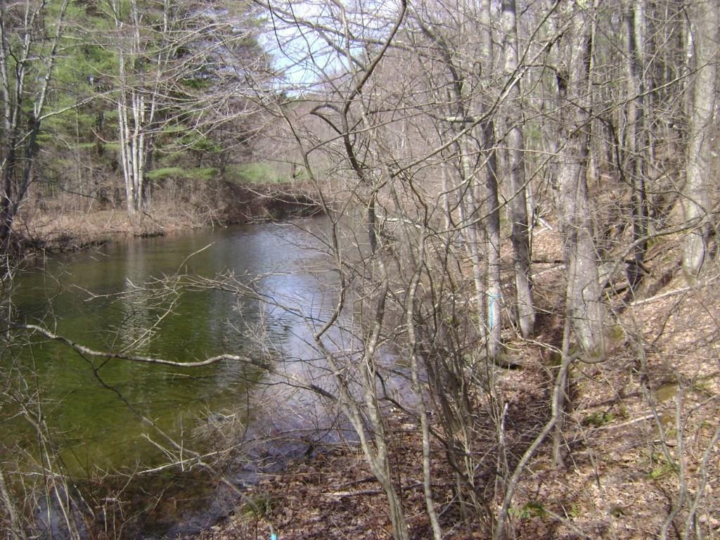 Lot 1 Webbs Mills Road Raymond, ME 04071 - Photo 5 of 8 Photo