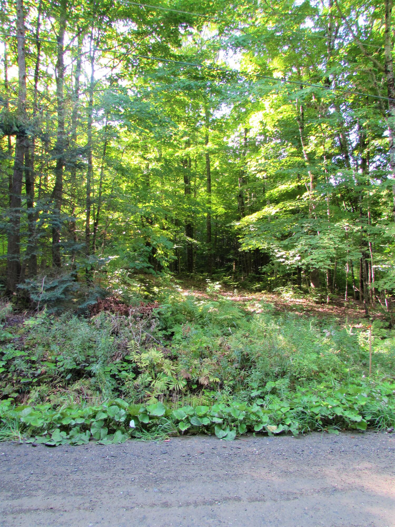 97 Fogler Road Exeter, ME 04435 - Photo 6 of 8 IMG_2689