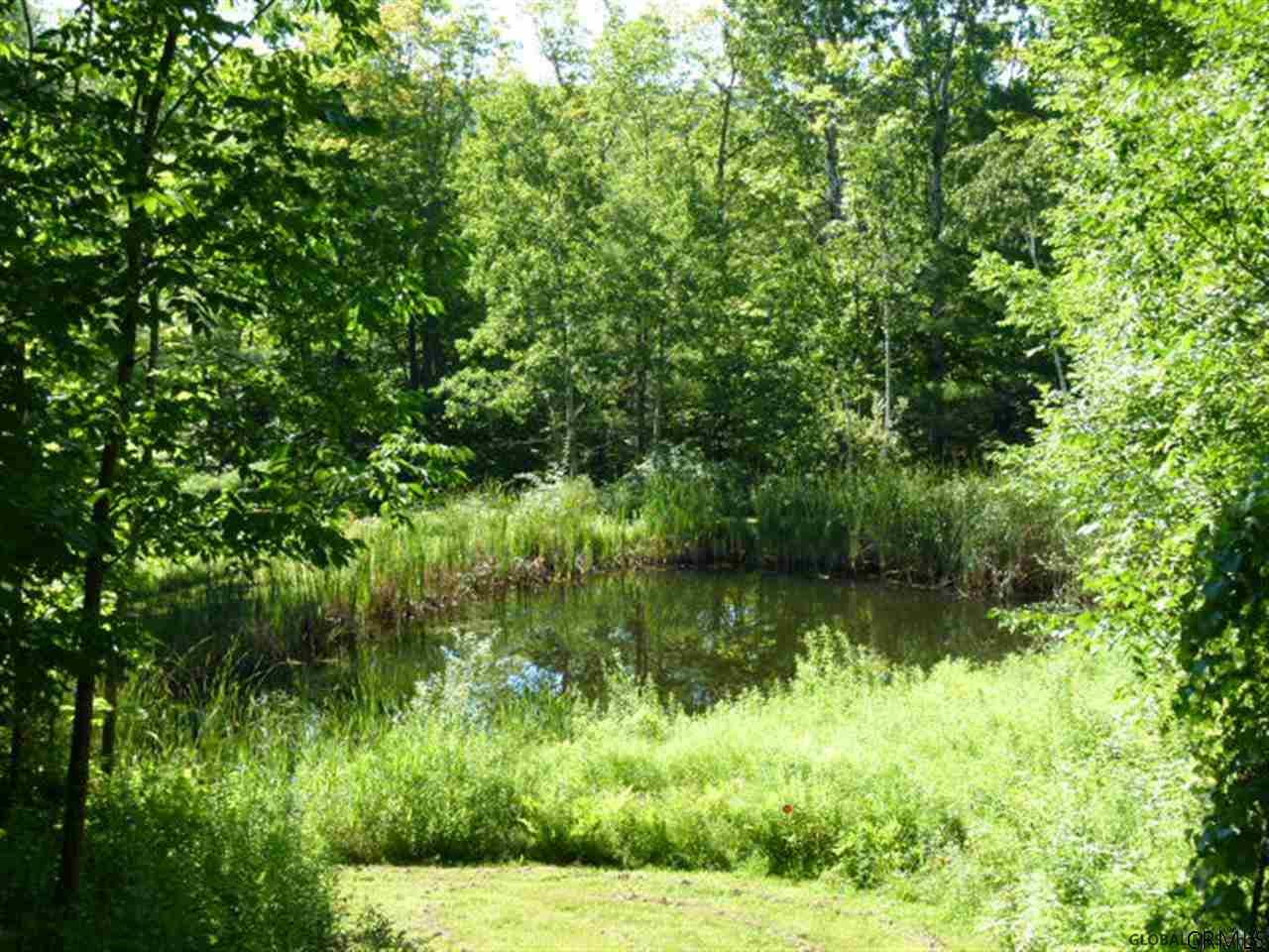 105 Pearson Road Rensselaerville, NY 12469 - Photo 20 of 25 Photo 20