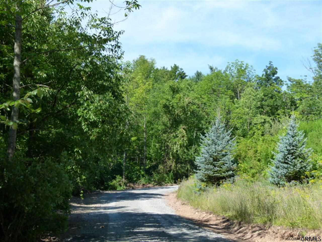105 Pearson Road Rensselaerville, NY 12469 - Photo 24 of 25 Photo 24