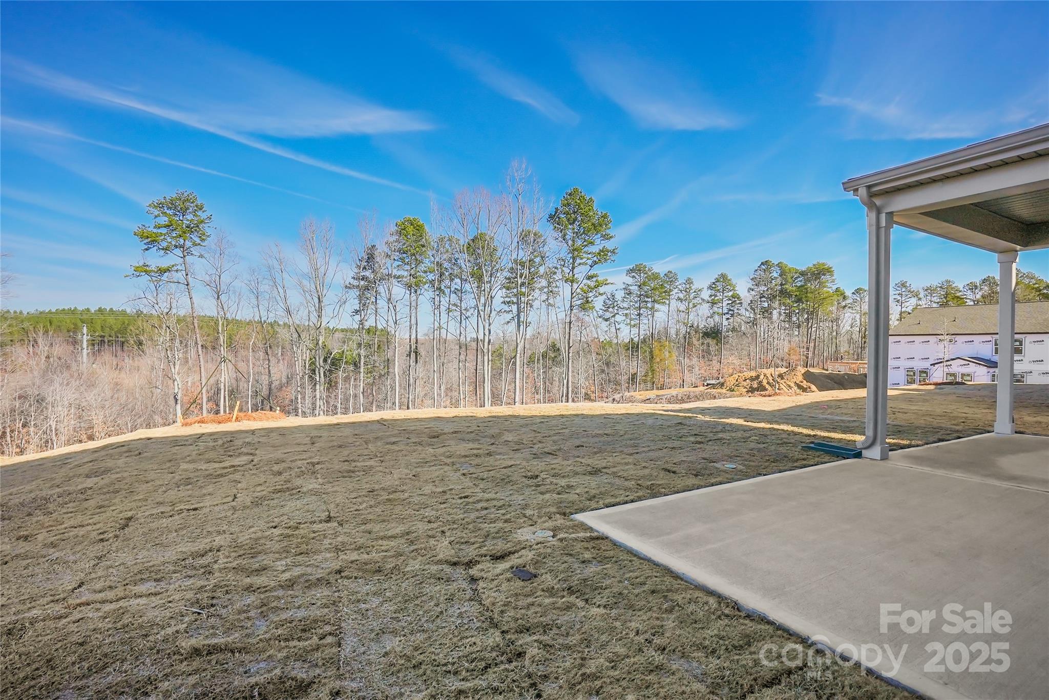 13737 Roderick Drive, Unit 186 Huntersville, NC 28078 - Photo 5 of 44 Gallery Image 5