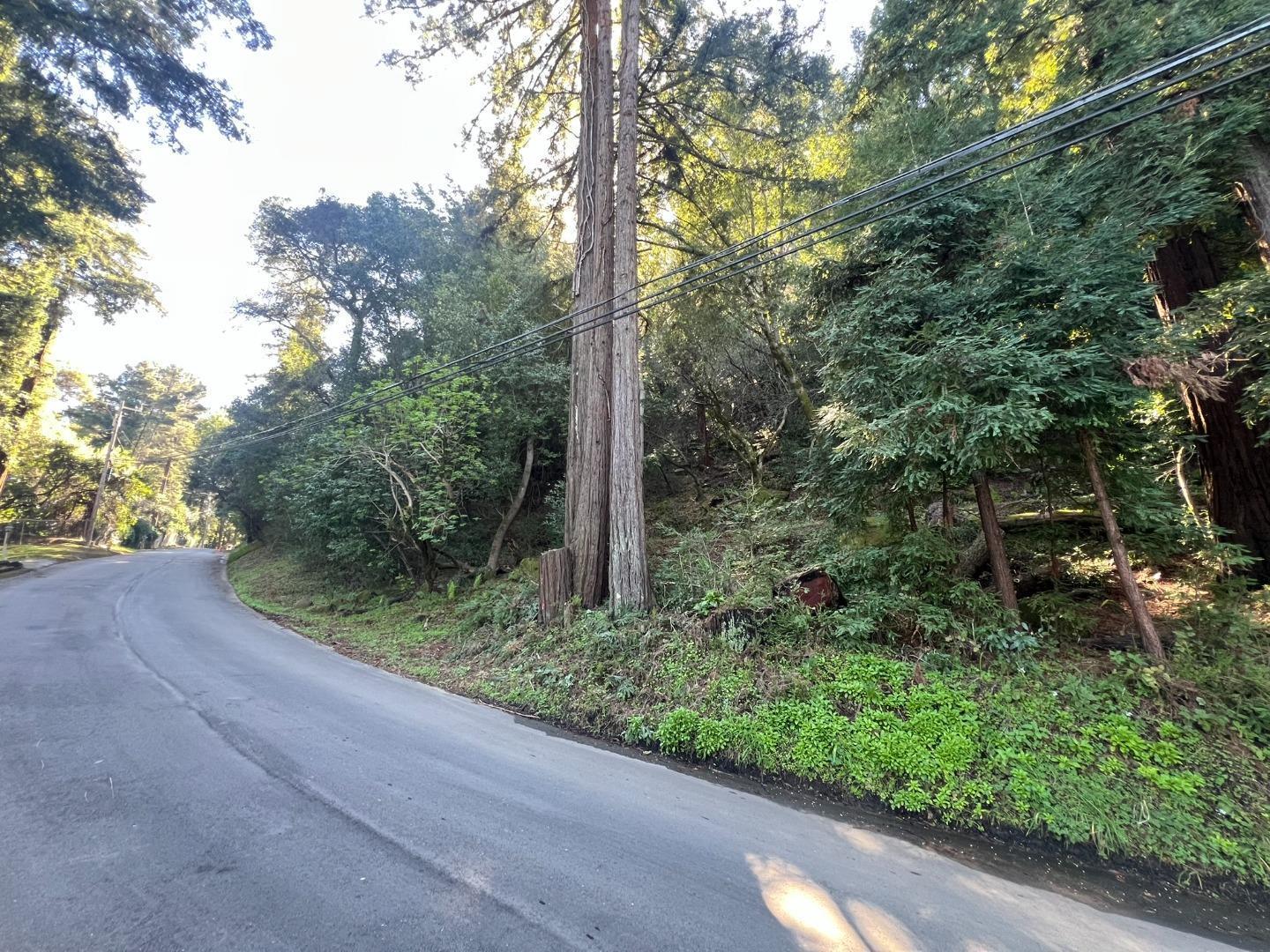 559 Patrol Road Woodside, CA 94062 - Photo 8 of 16