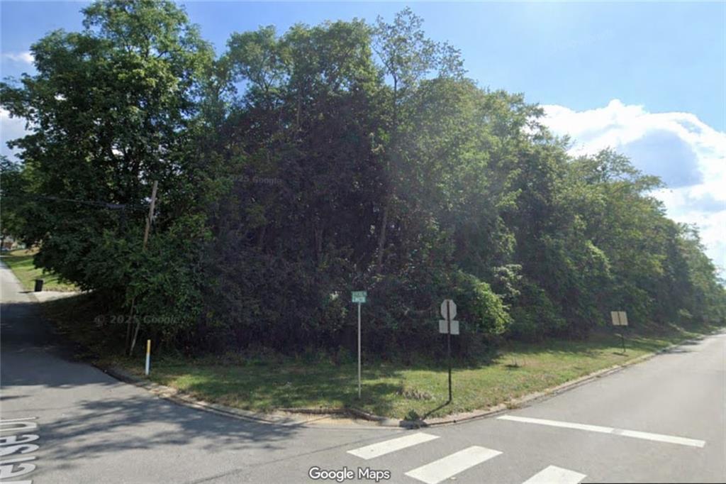 0 Traverse Road Pittsburgh, PA 15236 - Photo 1 of 3 a view of a park that has large trees and plants