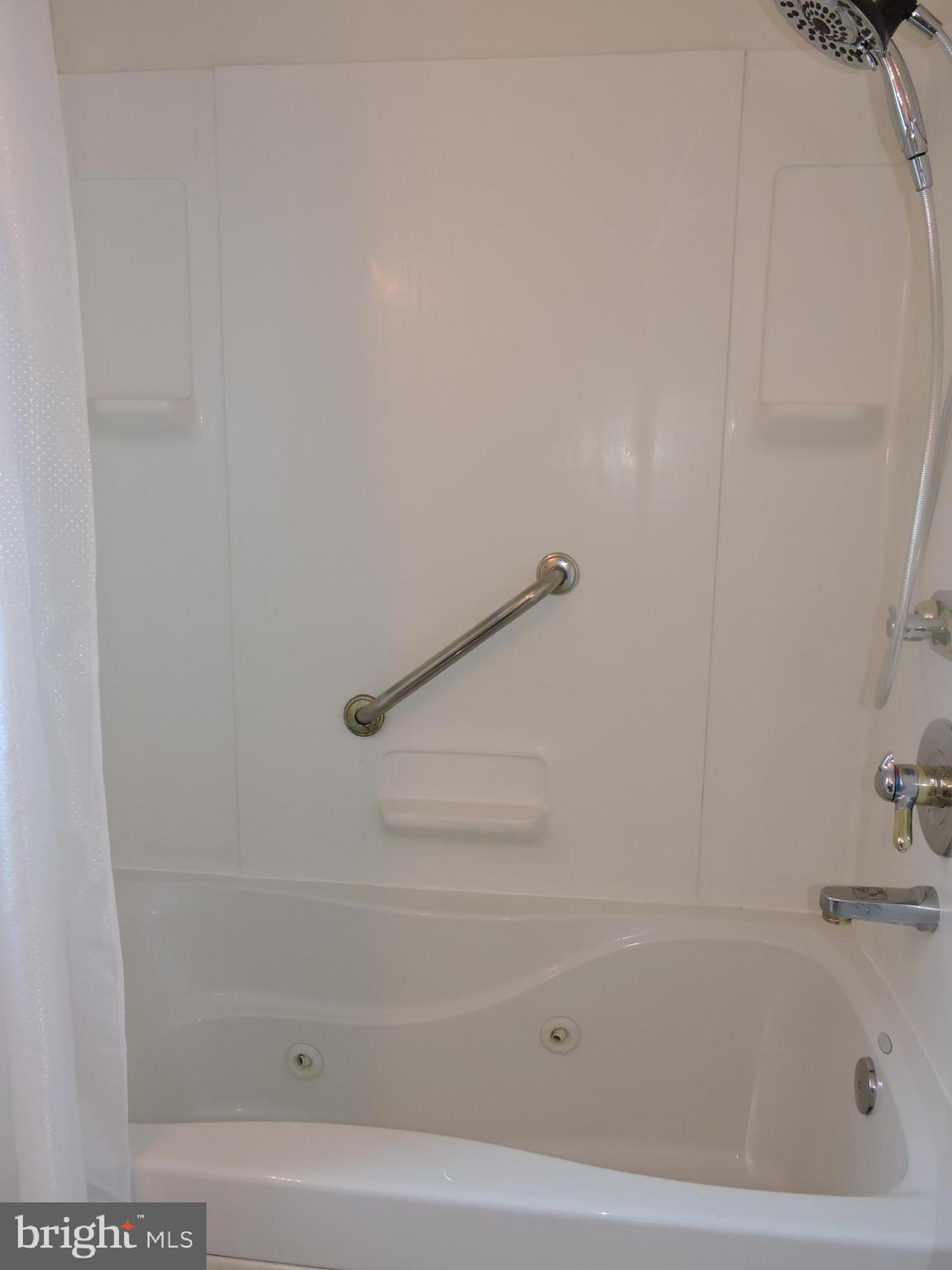 8705 School Road Baltimore, MD 21234 - Photo 20 of 56 Deluxe shower head