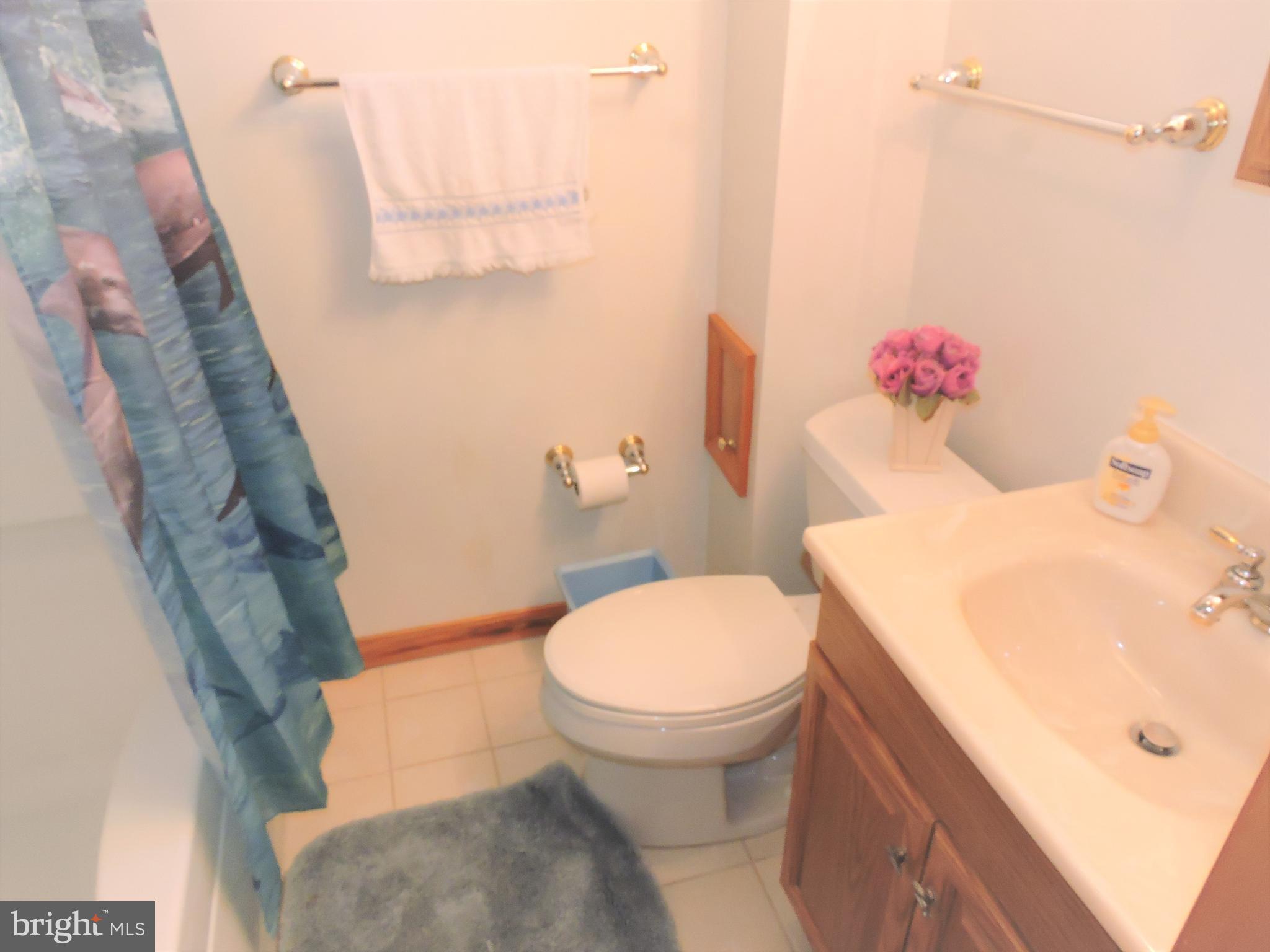 8705 School Road Baltimore, MD 21234 - Photo 41 of 56 2nd Full bath