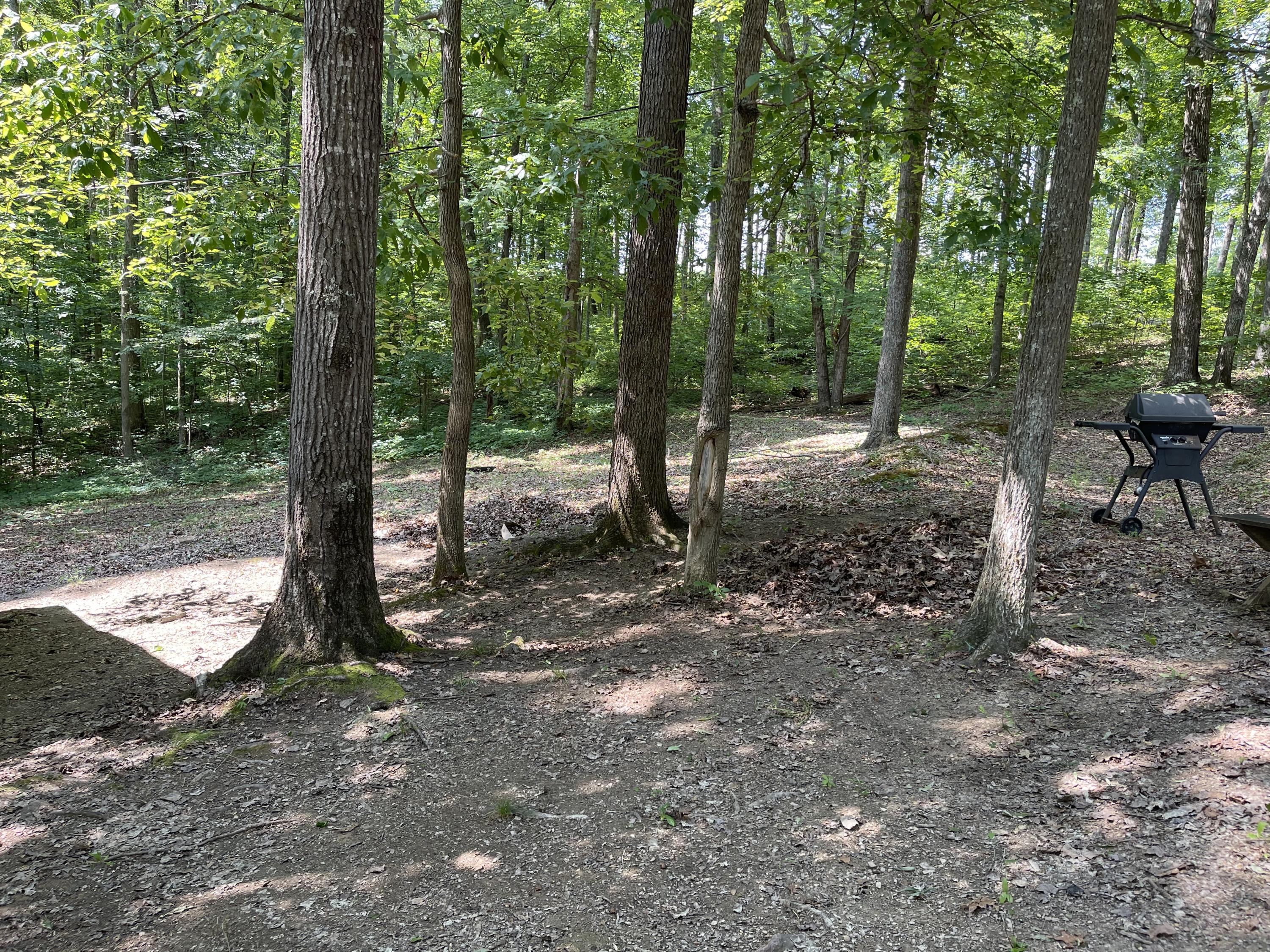 28 Pond Circle Road Wellington, KY 40387 - Photo 11 of 12 332CE022-9E3B-430C-BB56-DC41DC5B9518