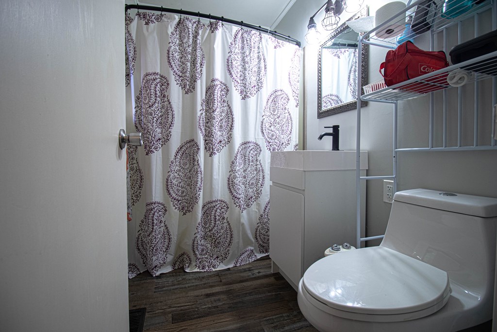 2811 16th Avenue Valley, AL 36854 - Photo 18 of 23 a bathroom with a toilet and shower curtain