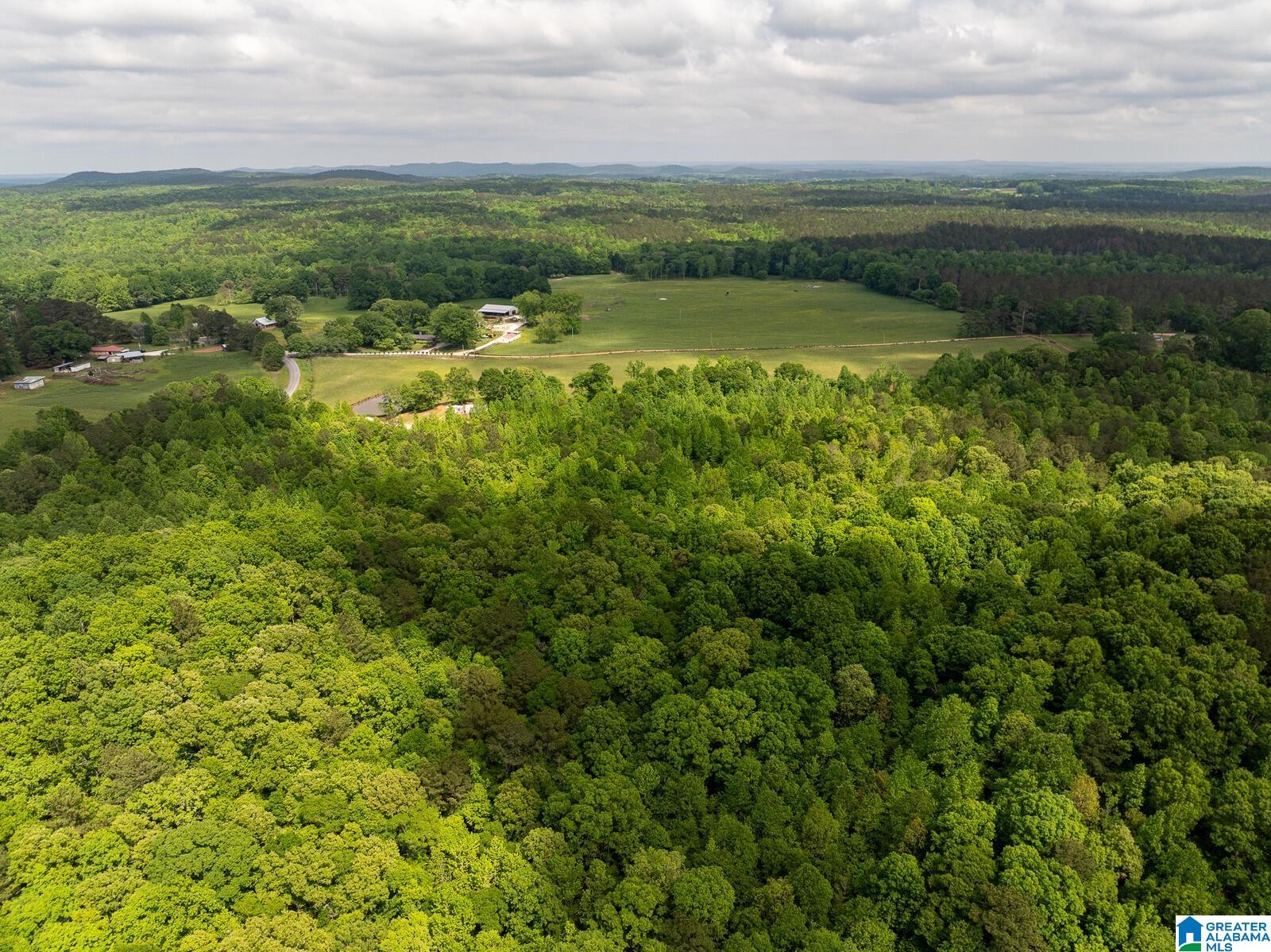 0 Shady Grove Road Goodwater, AL 35072 - Photo 5 of 17