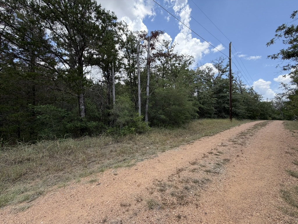 Tbd Red Fox Lane Bastrop, TX 78602 - Photo 11 of 14 A winding gravel road guides you through this peaceful, tree-lined property.