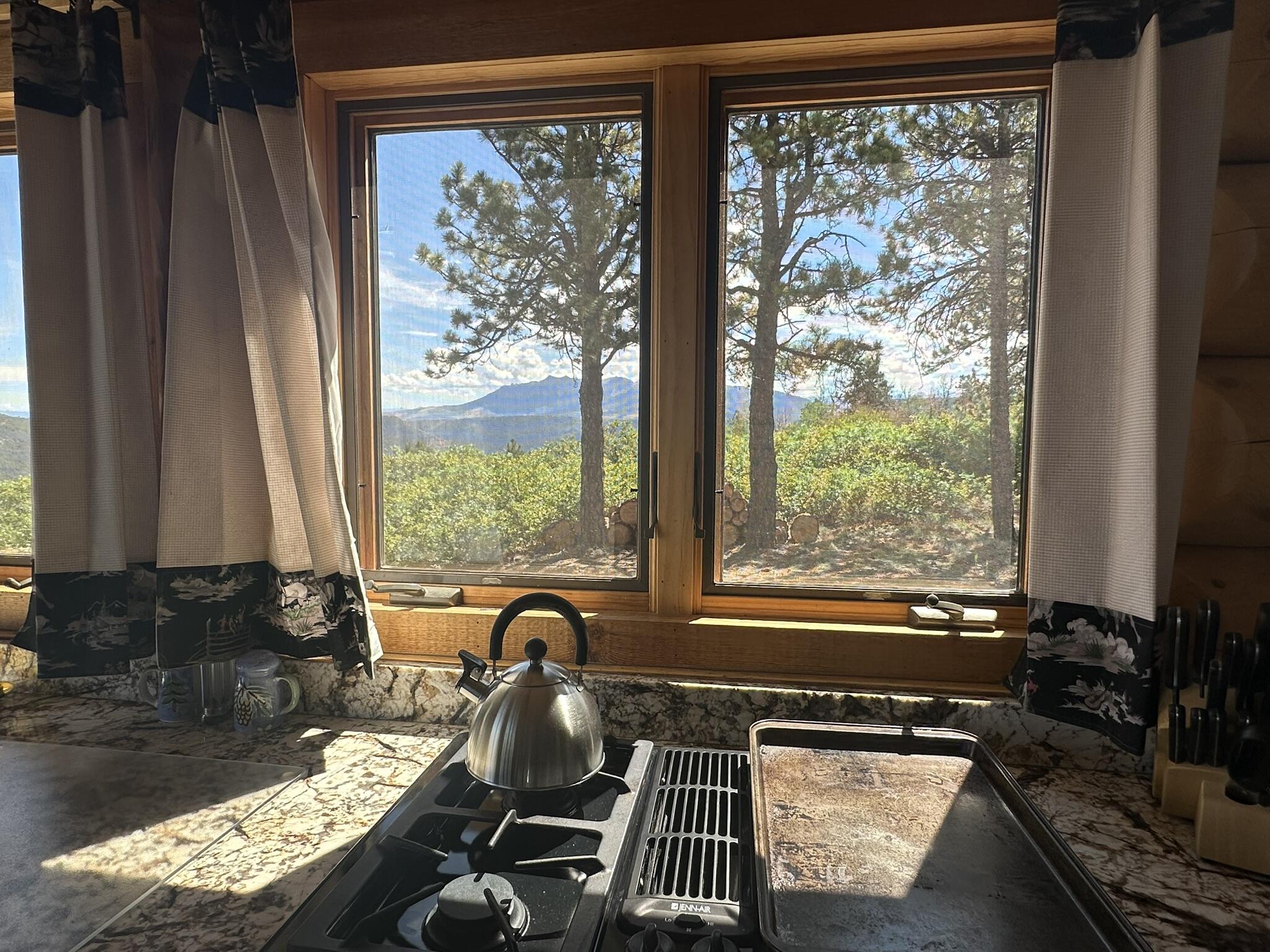 135 Canyon Rim Loop Placerville, CO 81430 - Photo 15 of 61 Or Cook Up and