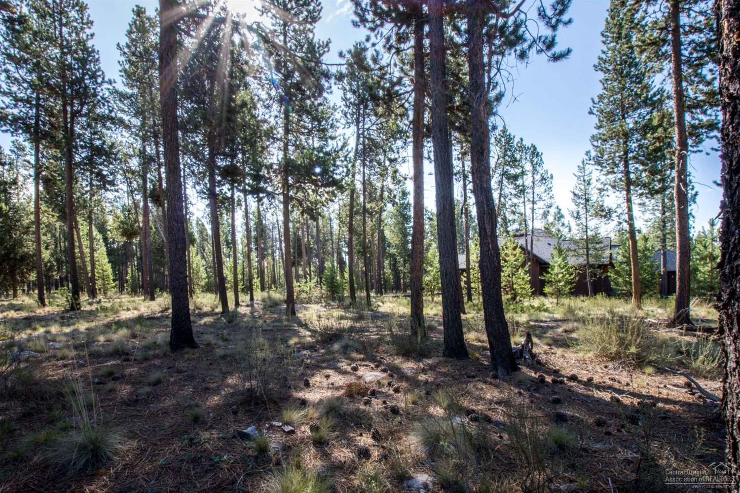 56474 Sunstone Loop Bend, OR 97707 - Photo 4 of 8 Additional Photo