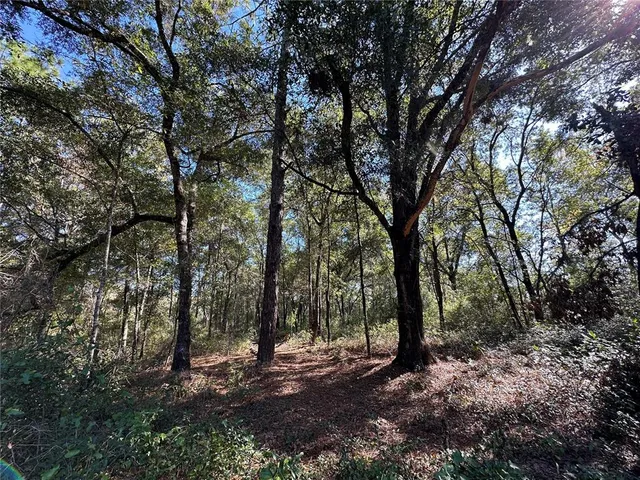 a view of outdoor space and yard