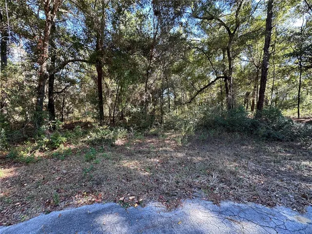 a view of a yard with a tree