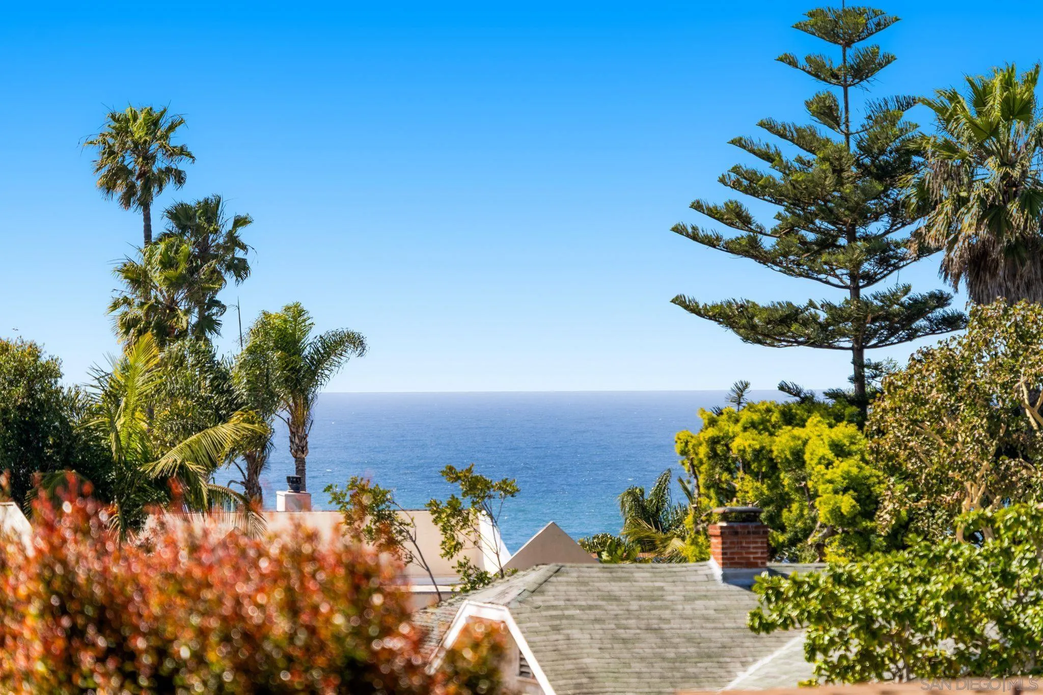 818 Genter Street La Jolla, CA 92037 - Photo 20 of 26 a view of a flower