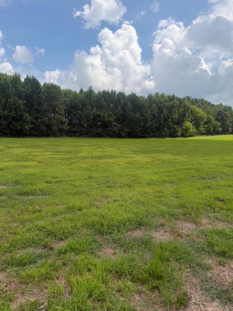 0 Friendship Road Cross Plains, TN 37049 - Photo 1 of 8