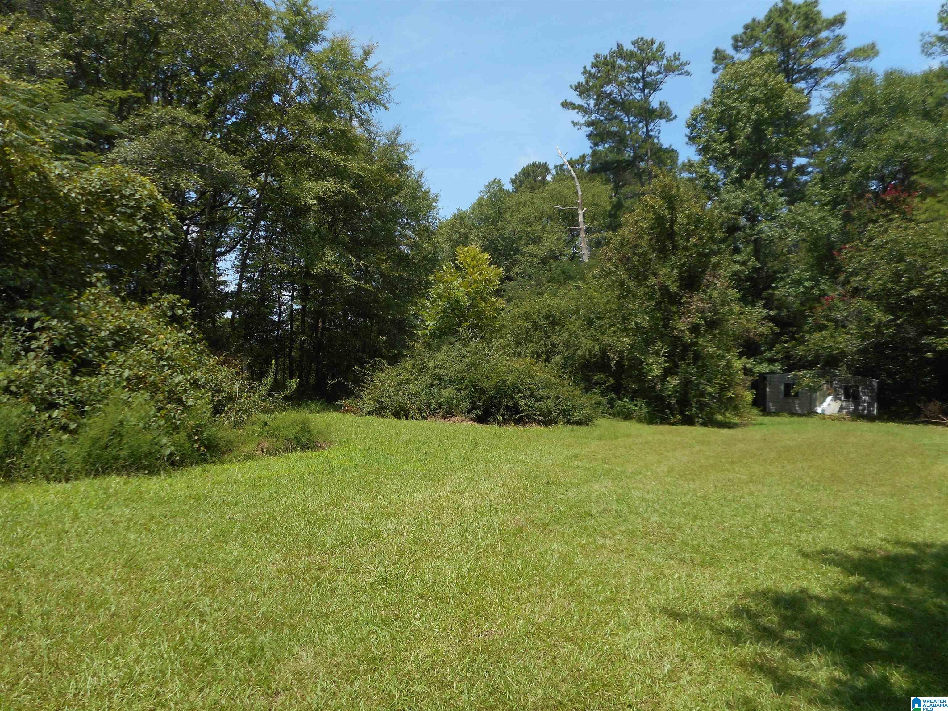 9022 Marsh Mountain Road Pinson, AL 35126 - Photo 27 of 27