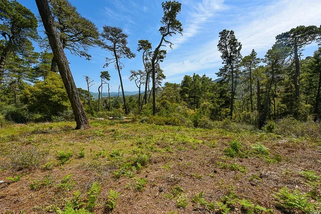 $850,000 | 531 Via De La Vista, Inverness, CA 94937