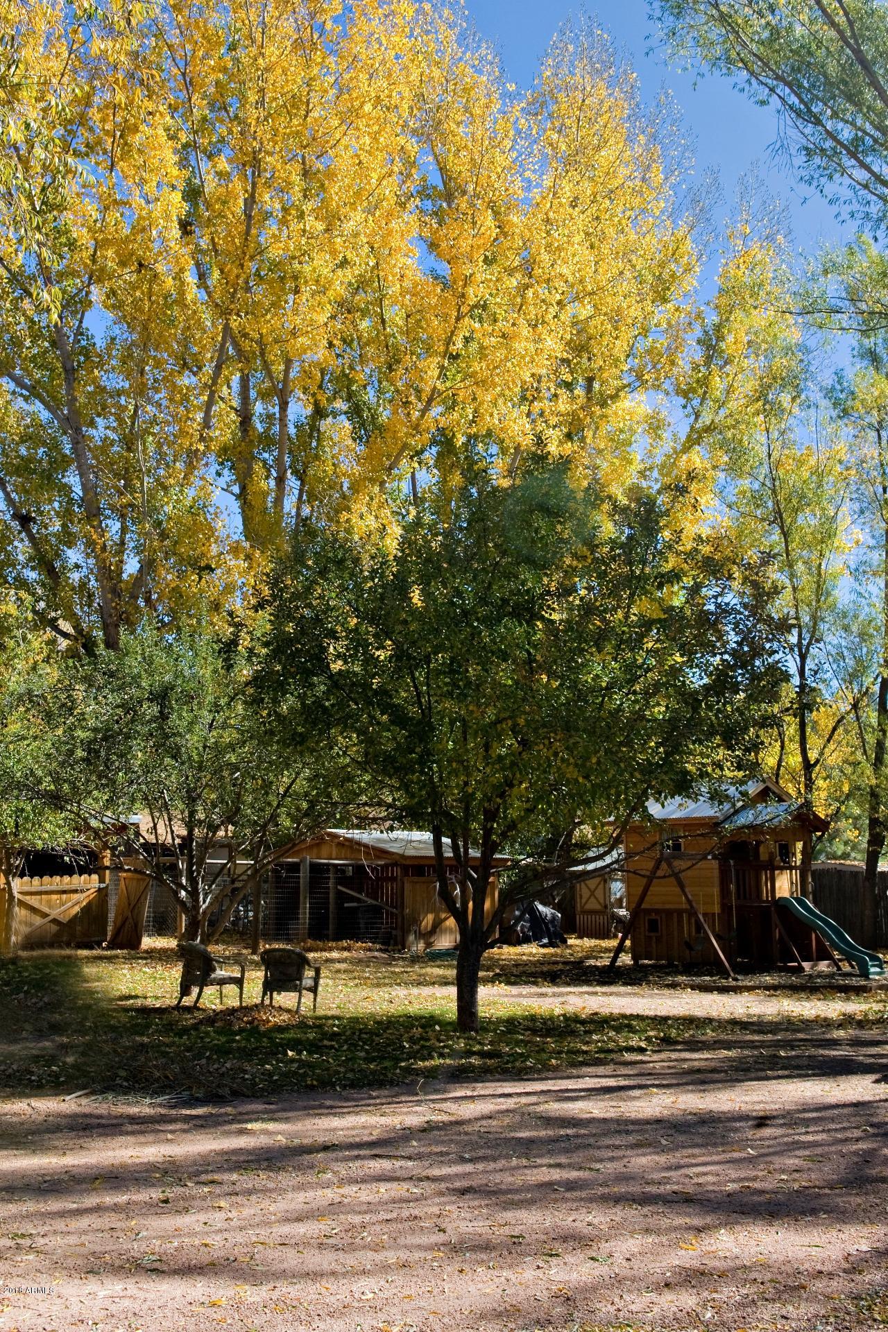 4933 German Ranch Road Strawberry, AZ 85544 - Photo 41 of 42 Backyard