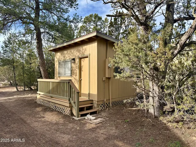 a view of backyard with a barn and a large tree