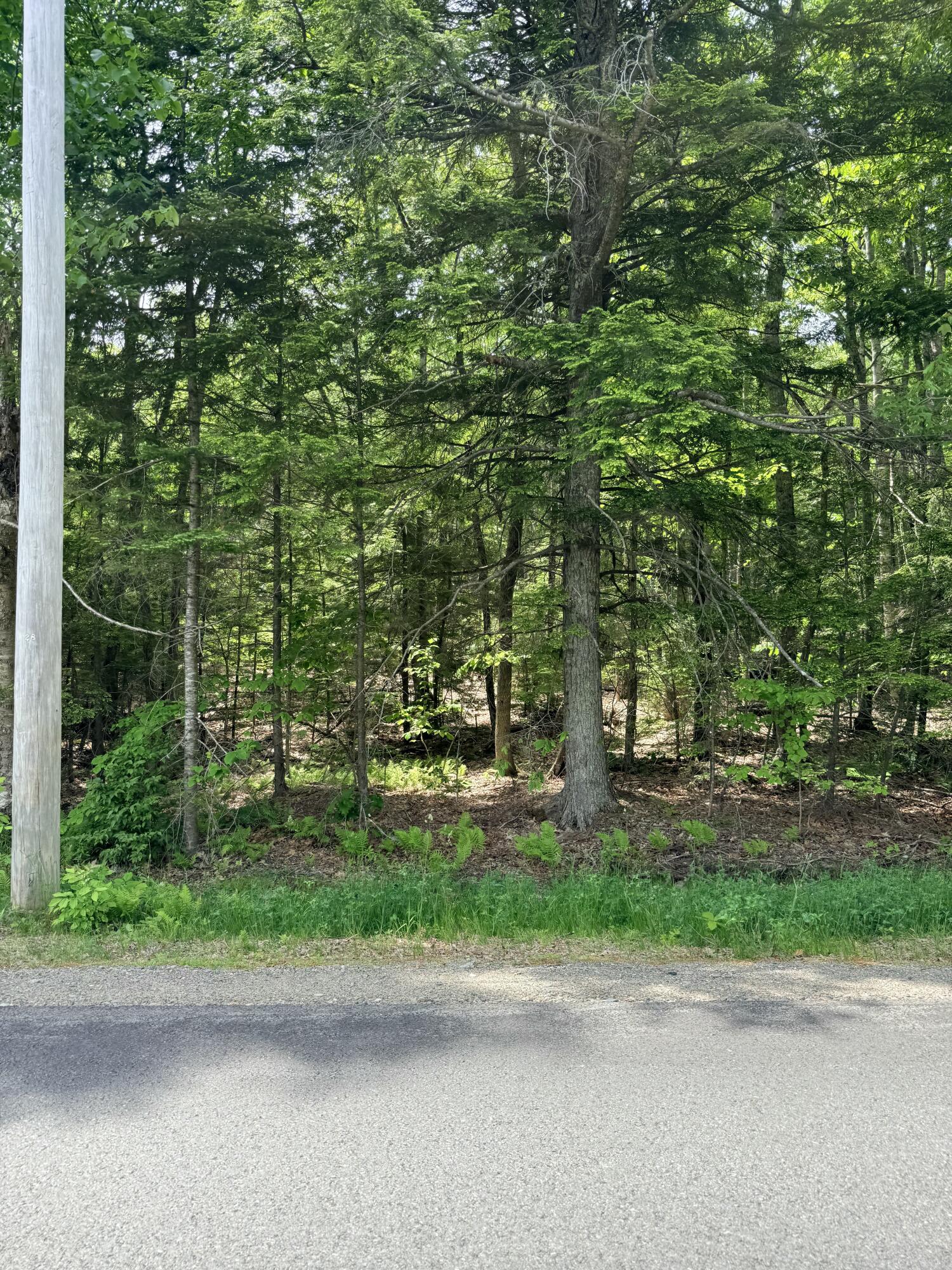 Lot #15 Greenacre Road Lincolnville, ME 04849 - Photo 6 of 23
