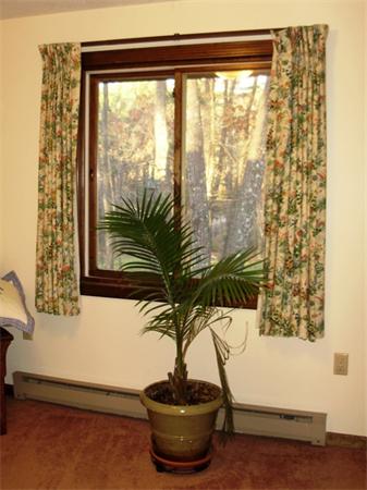 64 Squannacook Road Shirley, MA 01464 - Photo 9 of 13 a vase of flowers sitting next to a window