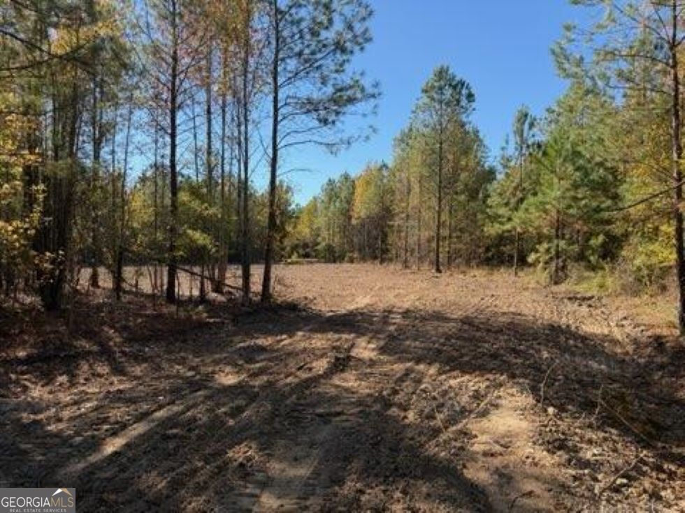 0 Netherland Road Midville, GA 30441 - Photo 1 of 1 a view of a yard with a tree