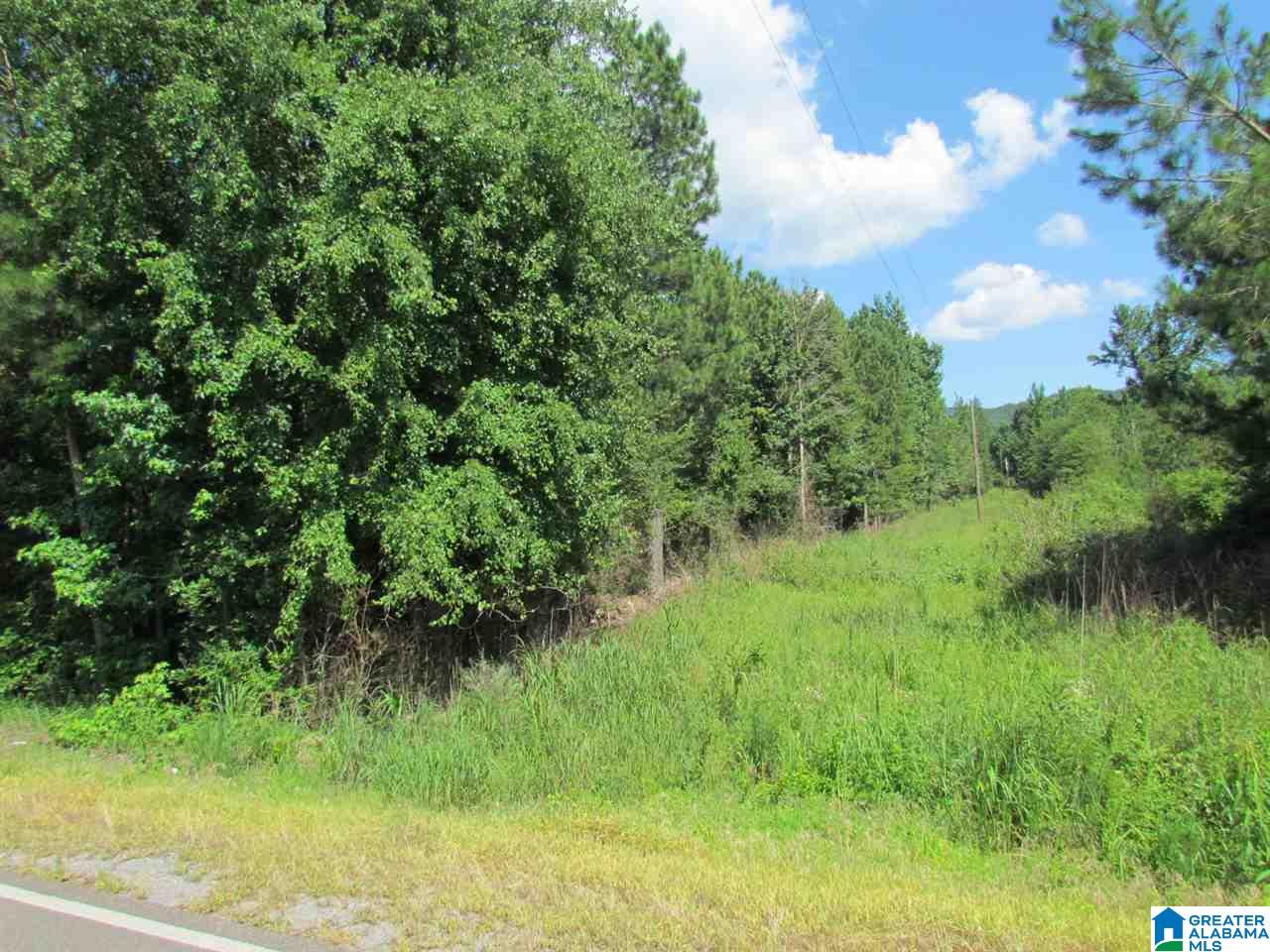 29 County Road Collinsville, AL 35961 - Photo 2 of 5