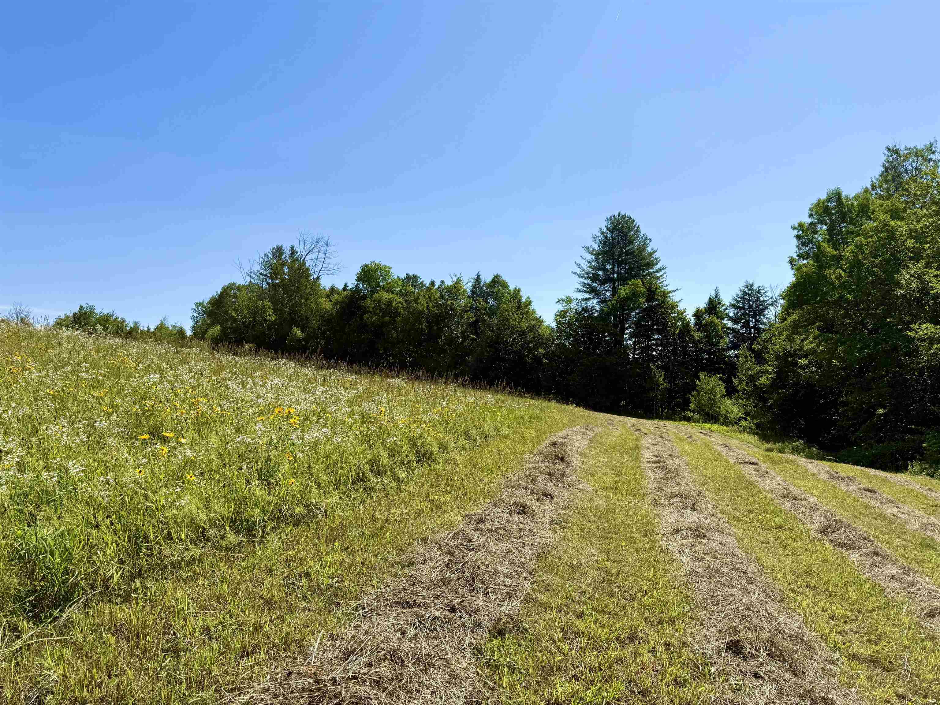 734 Gould Road Chester, VT 05143 - Photo 3 of 15 Gallery Image 3