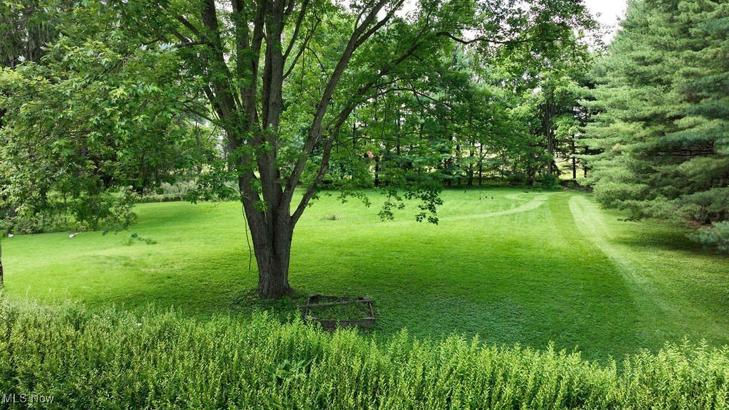 3949 Bair Road Northwest Dover, OH 44622 - Photo 13 of 48 Yard view