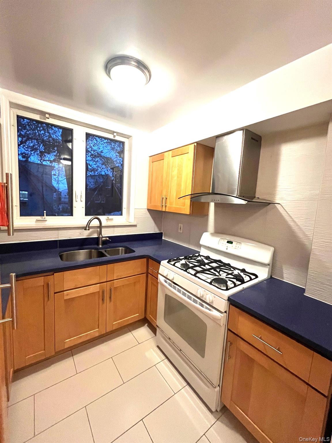 1945 Paulding Avenue Bronx, NY 10462 - Photo 4 of 12 a kitchen with stainless steel appliances granite countertop a stove and a sink