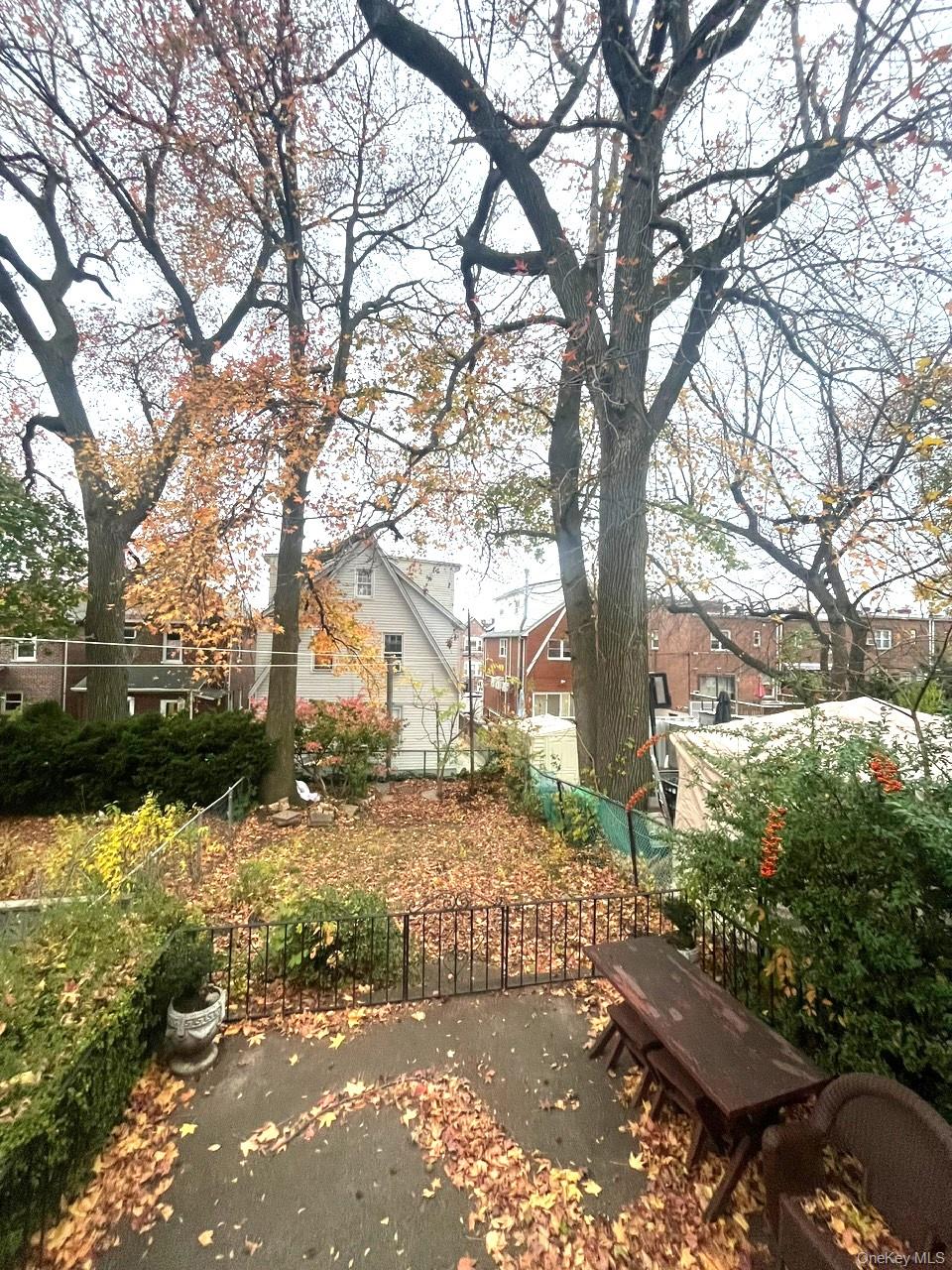 1945 Paulding Avenue Bronx, NY 10462 - Photo 10 of 12 a view of a yard with a tree