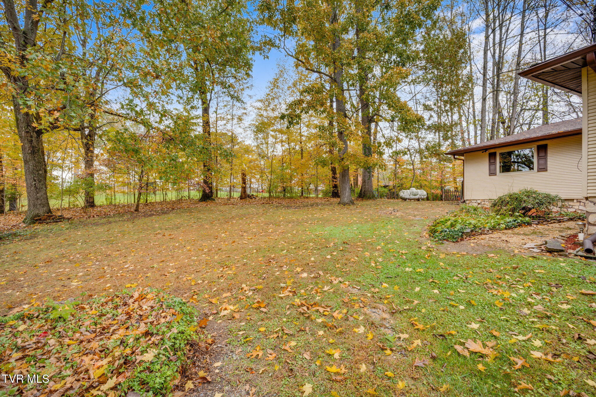 557 Lebanon Road Kingsport, TN 37663 - Photo 5 of 61 004