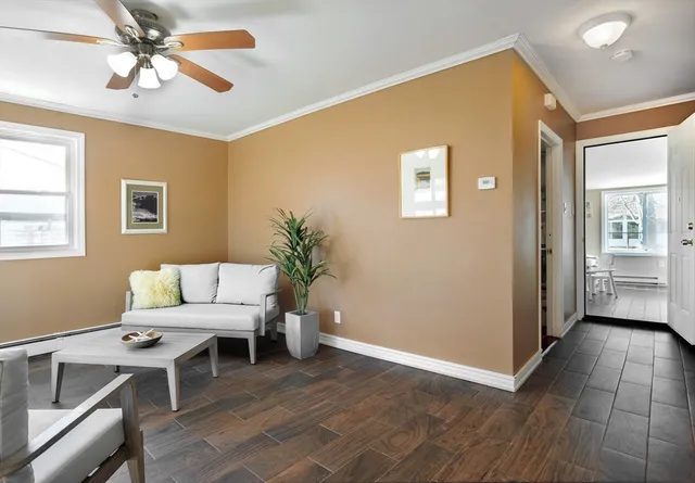 a living room with a couch and a potted plant