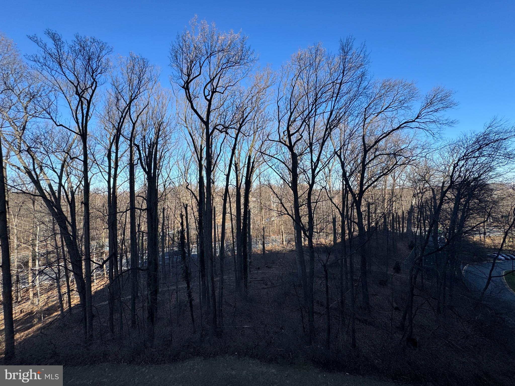 5225 Pooks Hill, Unit 710N Bethesda, MD 20814 - Photo 64 of 64 a view of backyard with green space