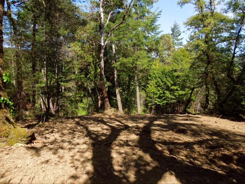 5-acres 5-acres Fish Creek Road Miranda, CA 95553 - Photo 3 of 4