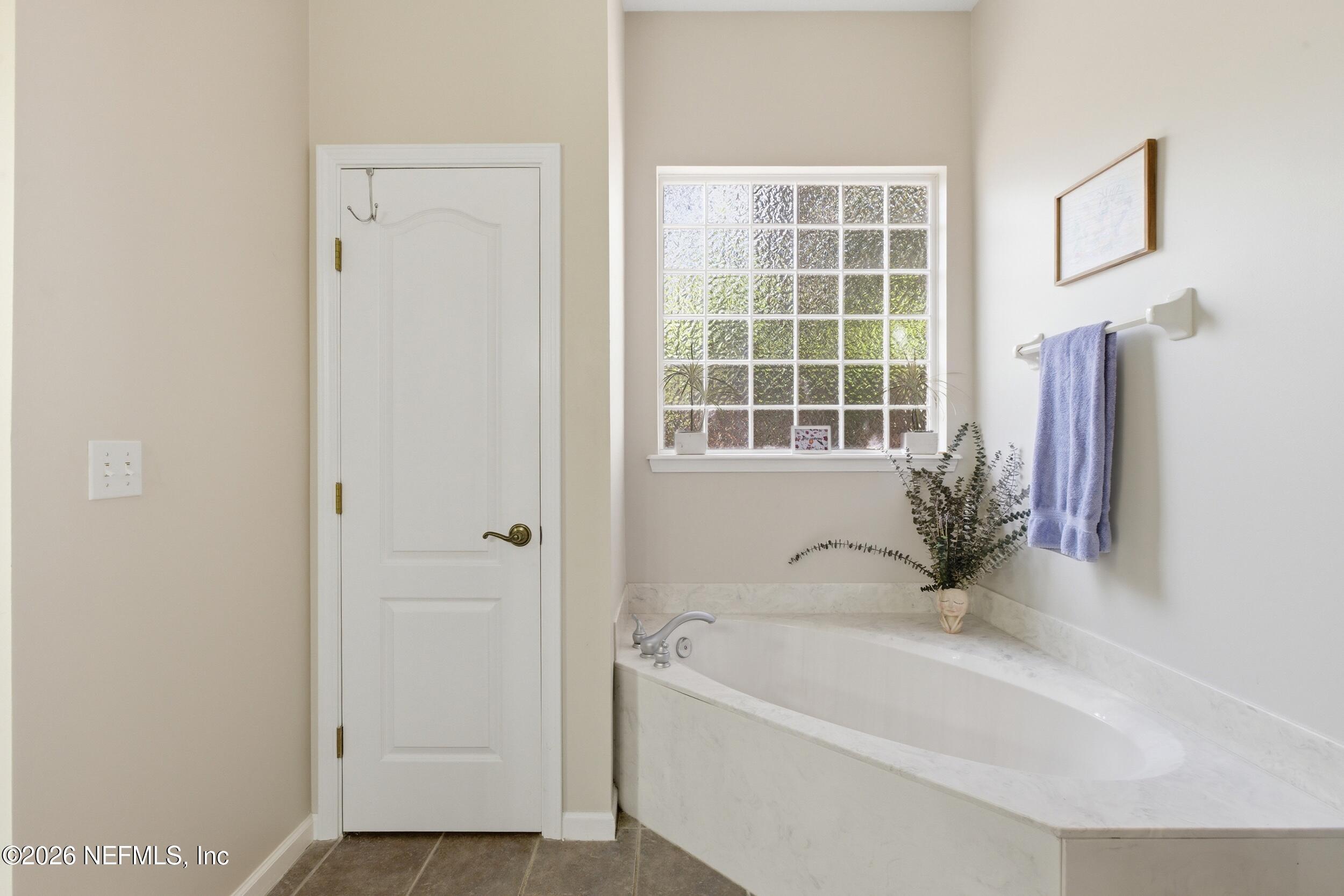 14779 Amelia View Drive Jacksonville, FL 32226 - Photo 33 of 81 Primary Bathroom Tub
