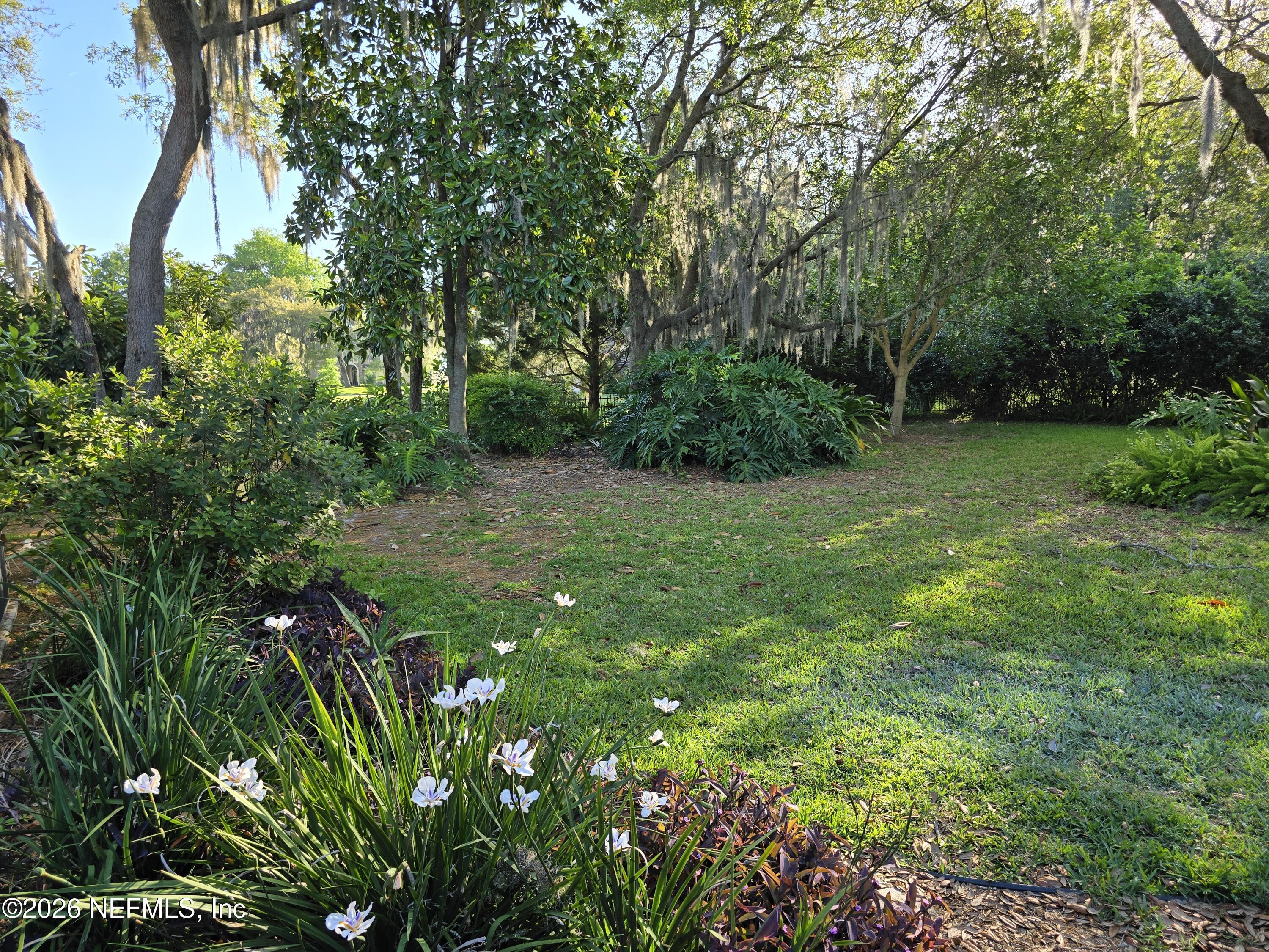 14779 Amelia View Drive Jacksonville, FL 32226 - Photo 51 of 81 20240501_082946