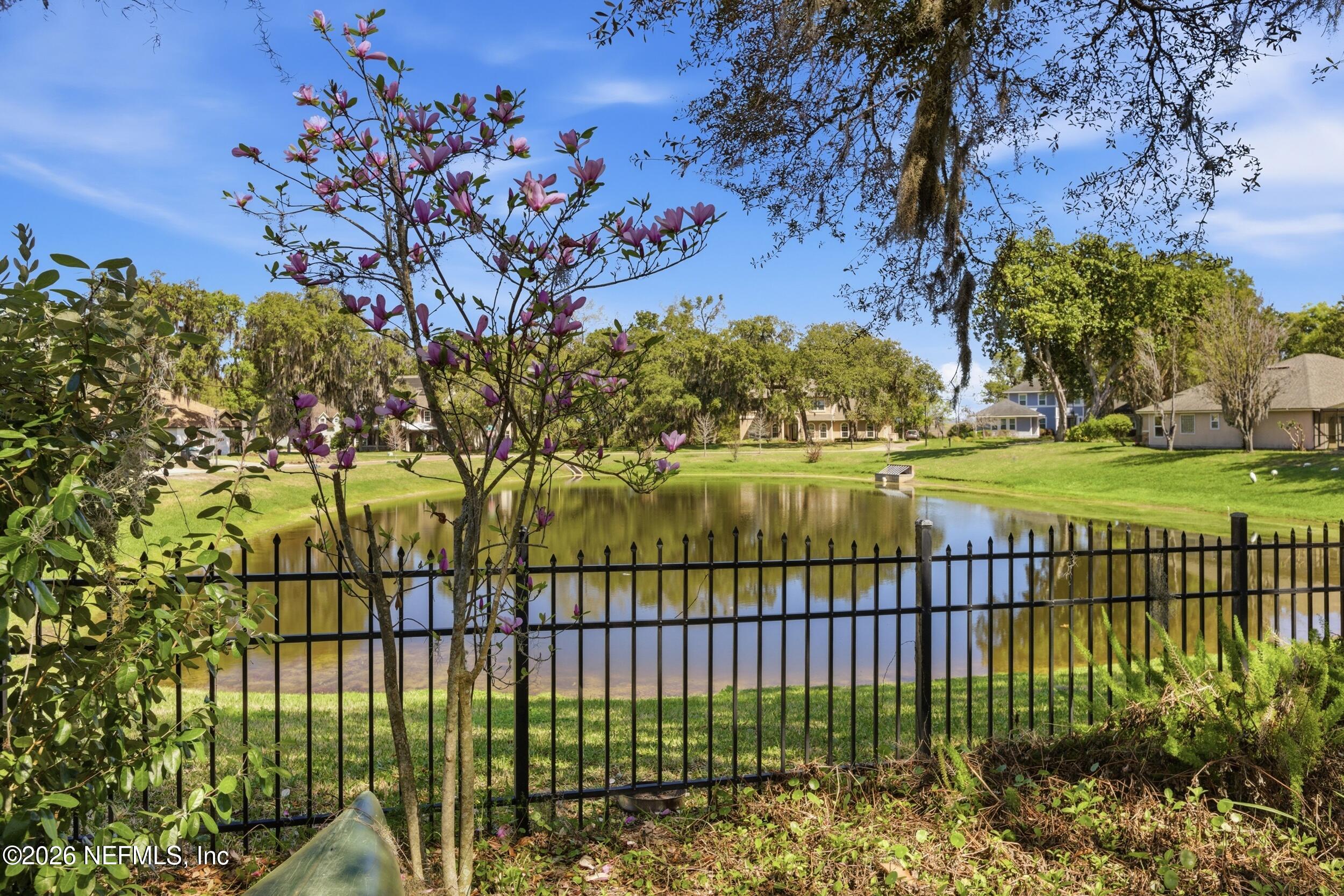 14779 Amelia View Drive Jacksonville, FL 32226 - Photo 55 of 81 Pond View Behind Property