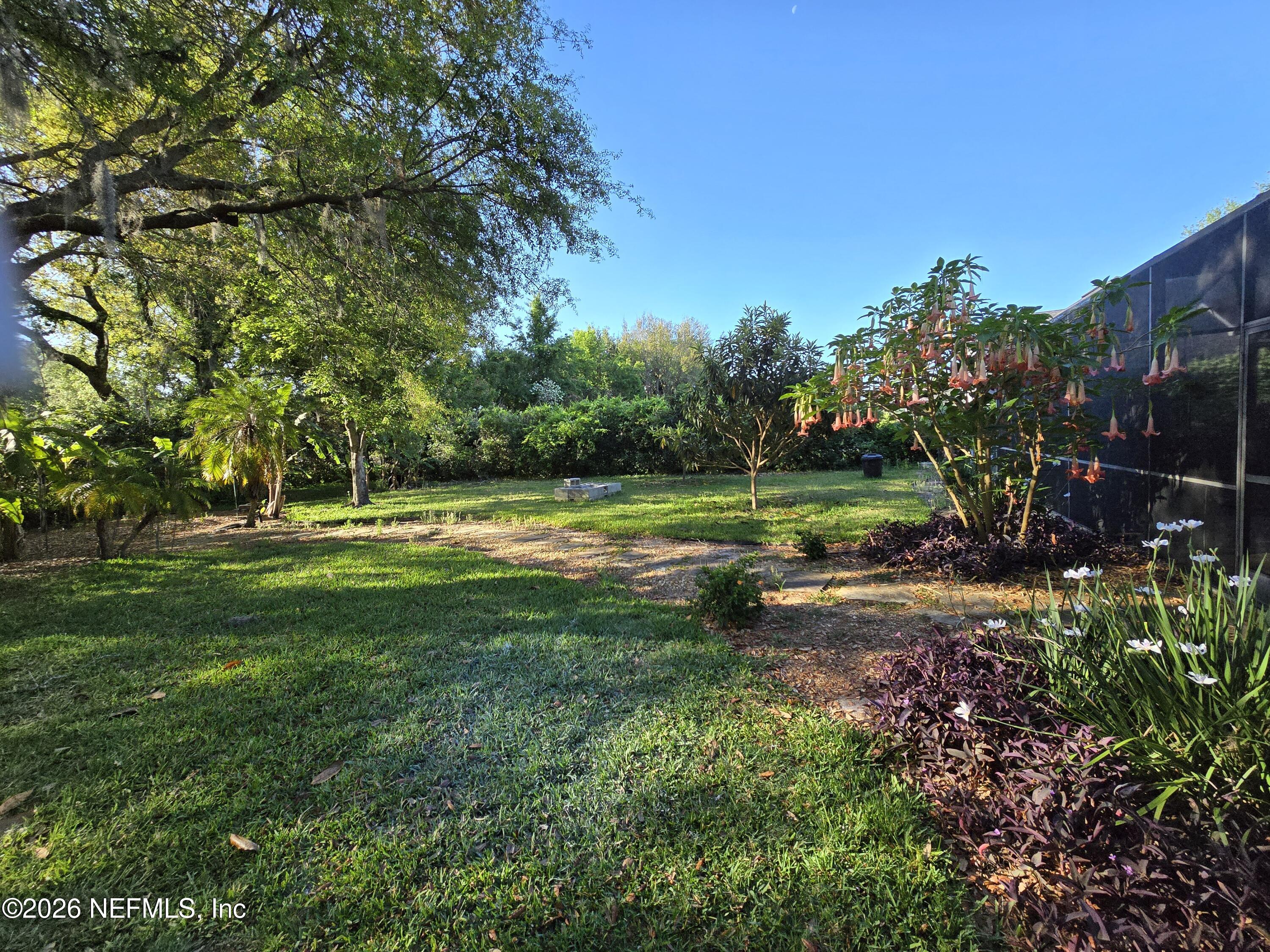 14779 Amelia View Drive Jacksonville, FL 32226 - Photo 56 of 81 Backyard Lawn and Landscaping