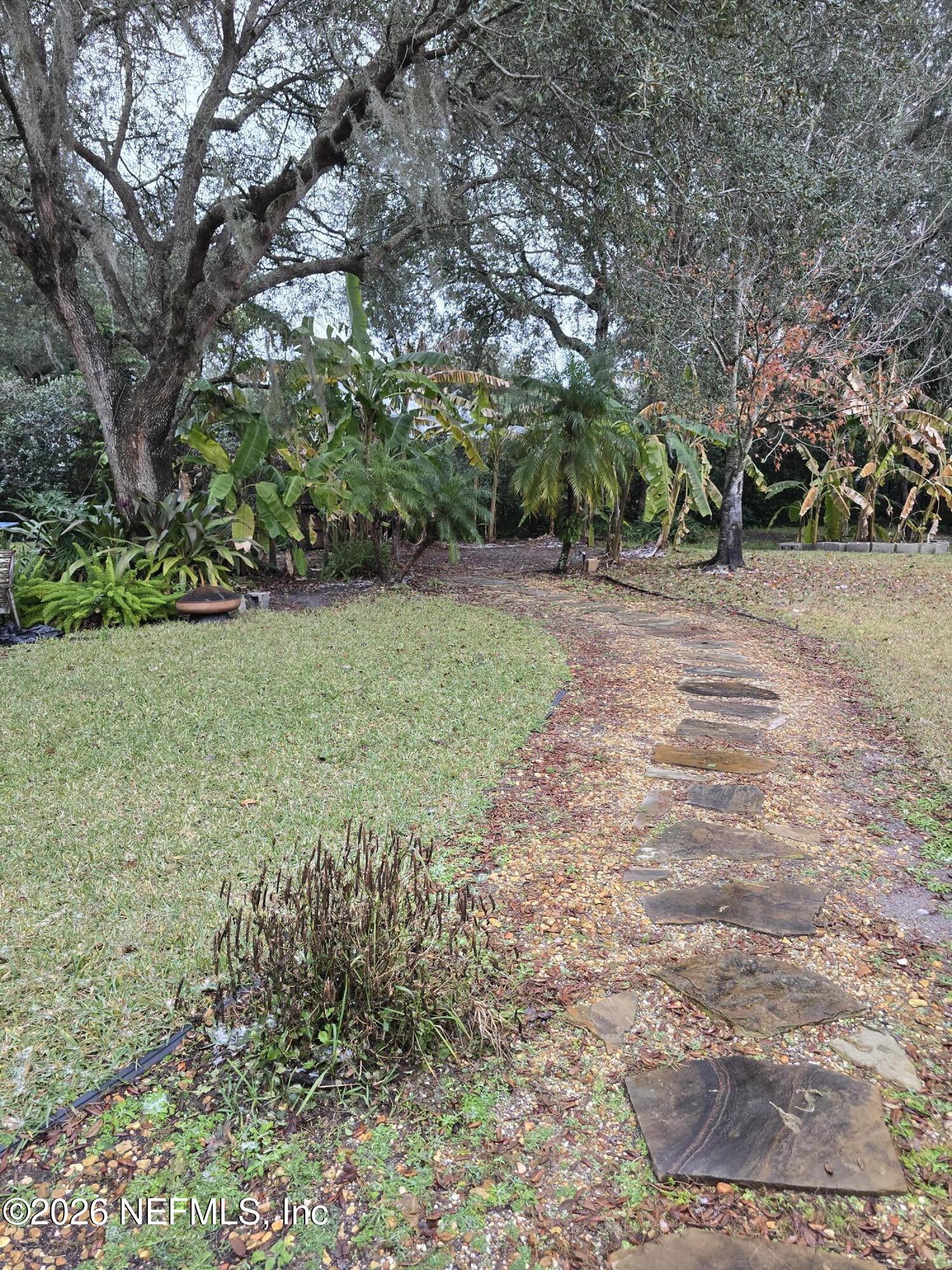 14779 Amelia View Drive Jacksonville, FL 32226 - Photo 57 of 81 Backyard Garden Area