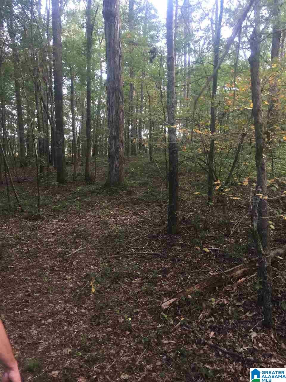 241 Sulphur Springs Road, Unit 9 89 ACRES Lincoln, AL 35096 - Photo 10 of 44