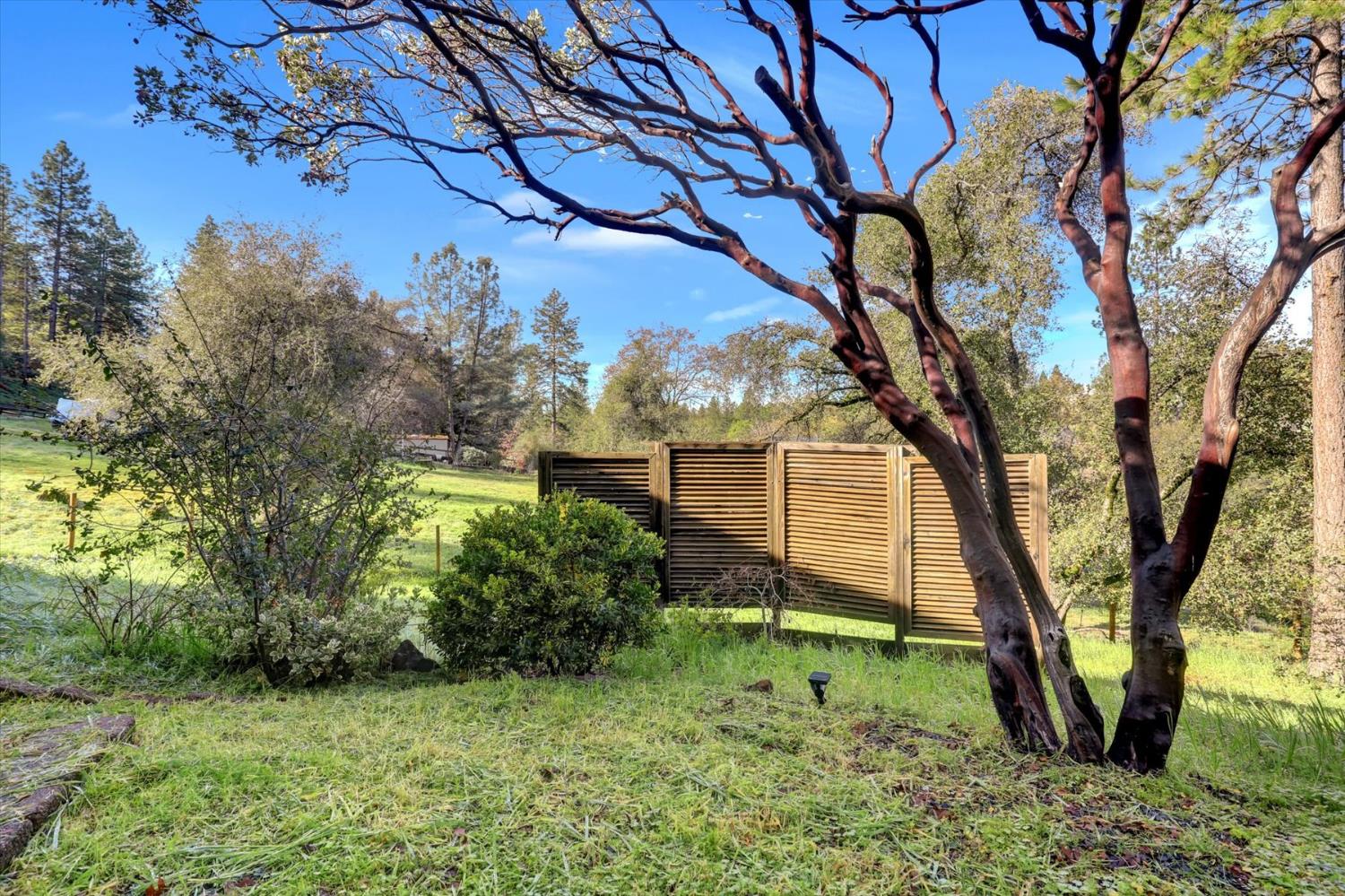 18814 Norlene Way Grass Valley, CA 95949 - Photo 59 of 89