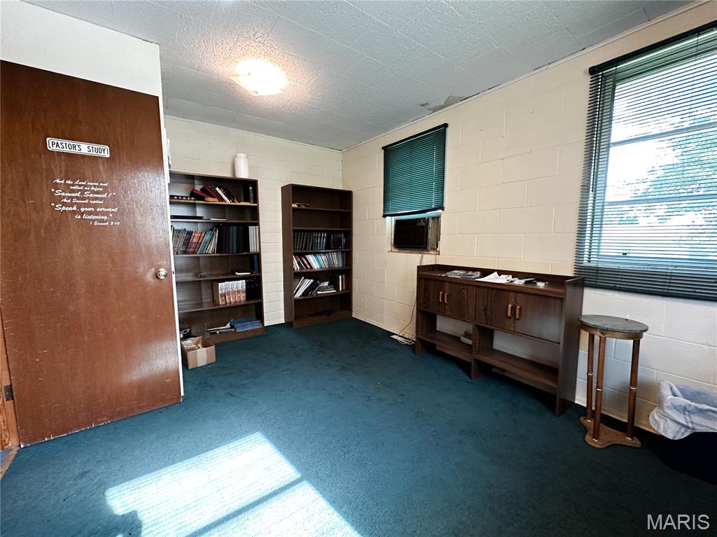 304 North 5th Street Ava, IL 62907 - Photo 11 of 32