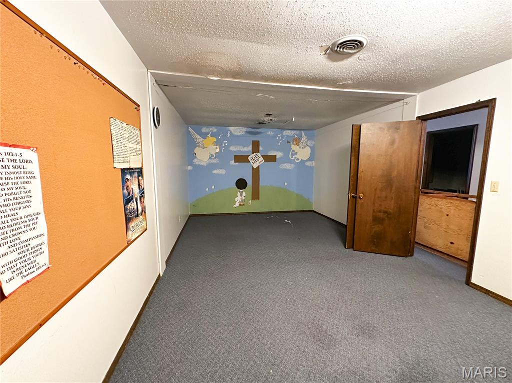 304 North 5th Street Ava, IL 62907 - Photo 14 of 32