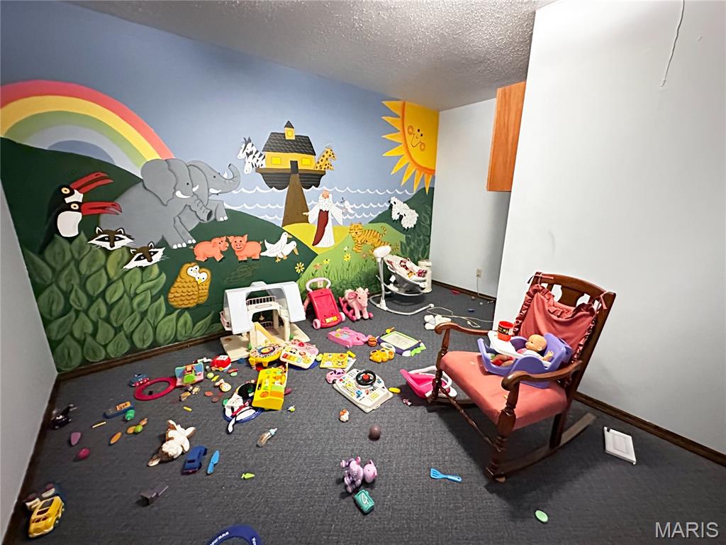 304 North 5th Street Ava, IL 62907 - Photo 16 of 32